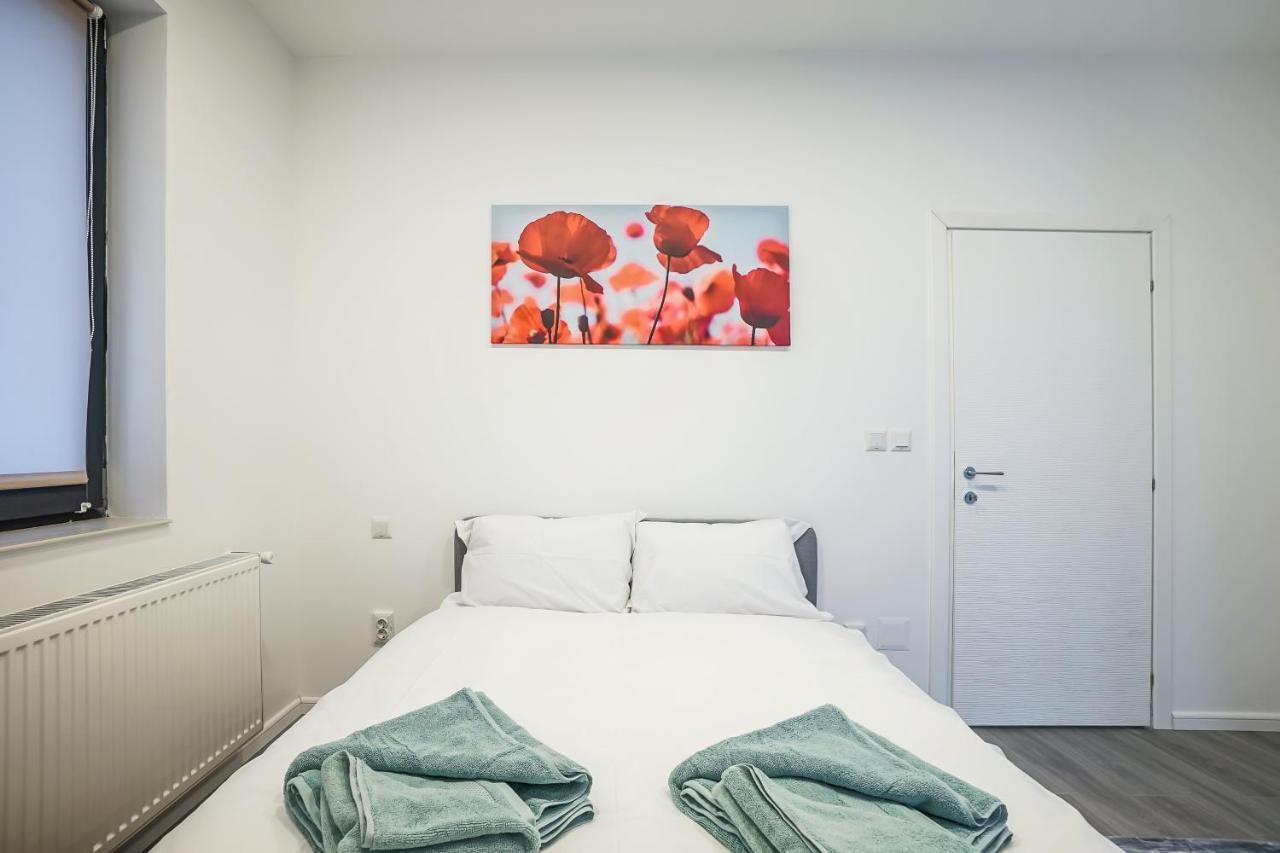 Bright Apartments Moments Away From Herastrau Park, Mall And Metro 布加勒斯特 外观 照片